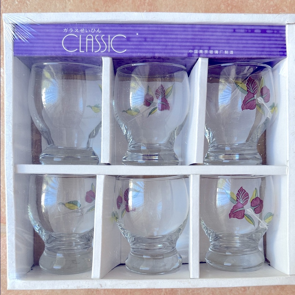 Set of 6 Vintage Collectable Flower Design Drinking Glasses/Barware
